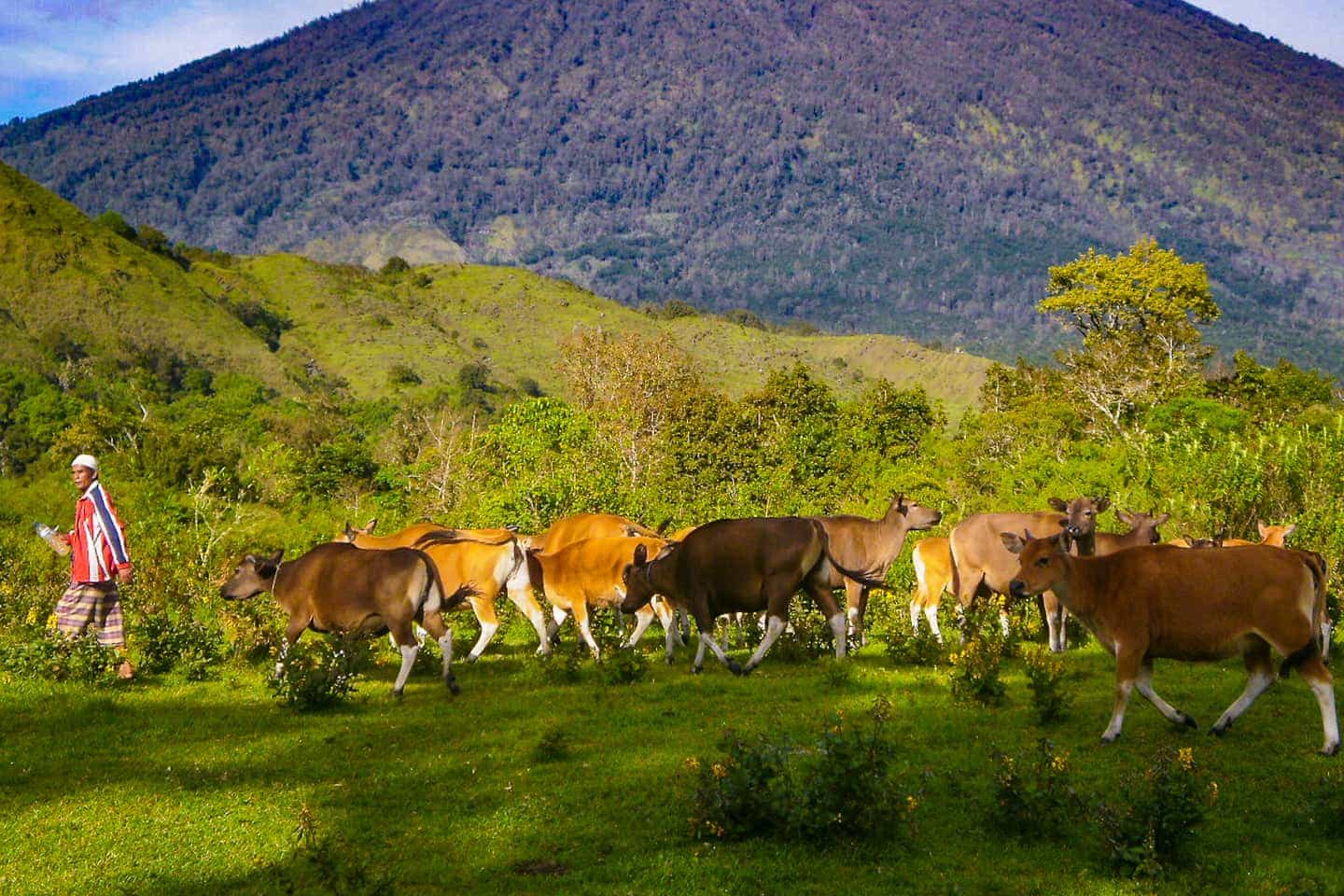 Location photos of beautiful Lombok Indonesia