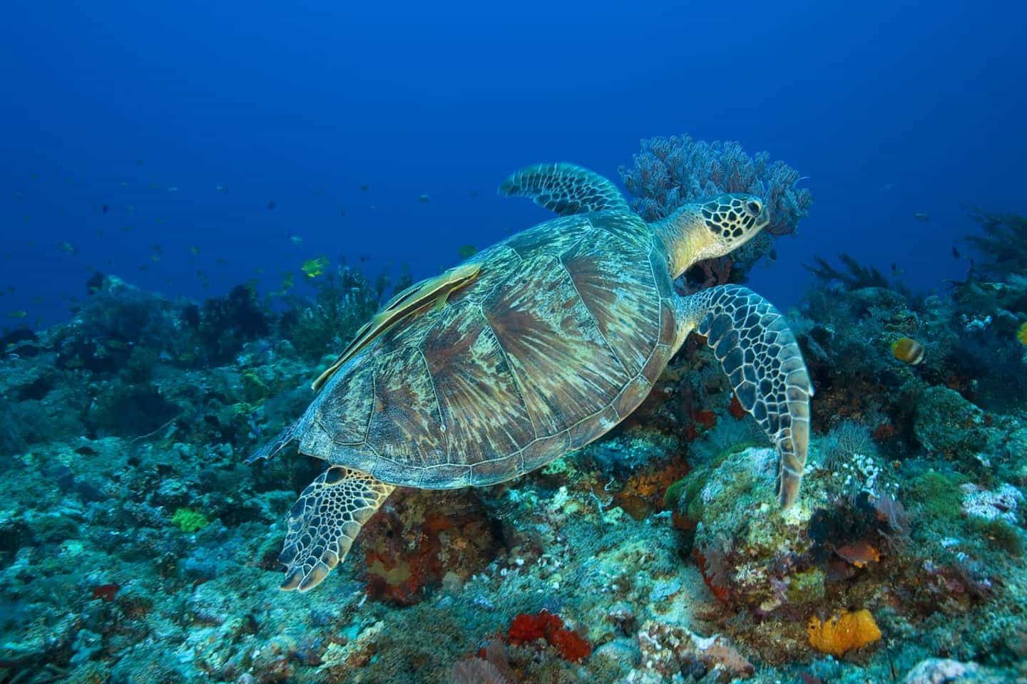 Location photos of beautiful Lombok Indonesia